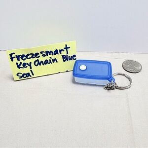 Tupperware freeze smart Blue Seal Keychain